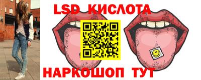 винт Шелехов