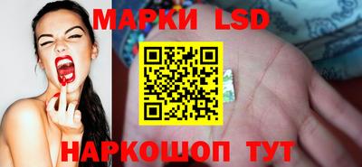 шишки Шахты