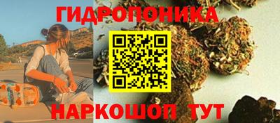 винт Шелехов