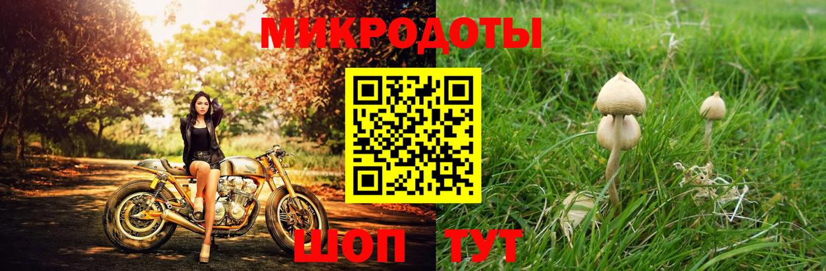 Галлюциногенные грибы MAGIC MUSHROOMS  Вход с VPN  Пермь  магазин  наркотиков  Галлюциногенные грибы Magic Shrooms 